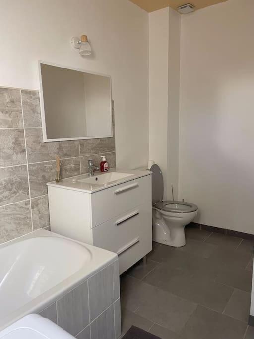 Maison Mitoyenne Avec Cour + Parking 圣特萨维内 外观 照片